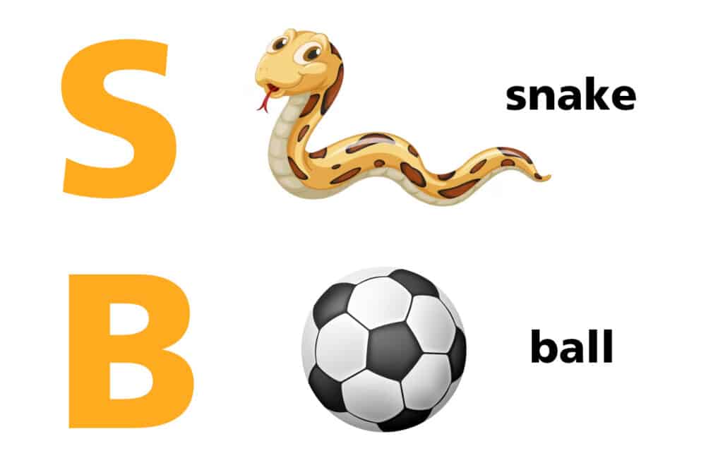 snake and ball