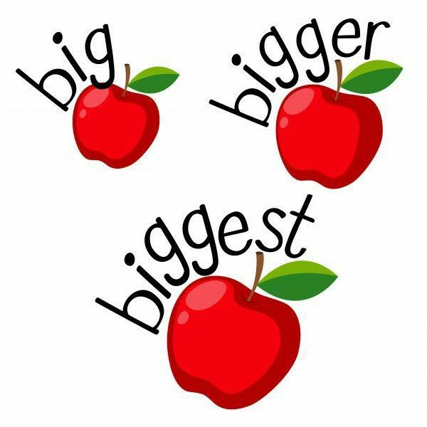 98d65432208b8a4daa60d4e56bec90a1